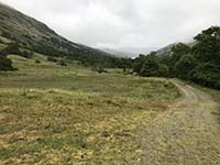 Glen Finglas loop. The cows now in the distance