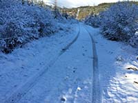 Queen Elizabeth forest park. Image from Queen Elizabeth forest park