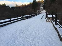 Queen Elizabeth forest park. Image from Queen Elizabeth forest park
