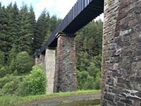 Queen Elizabeth forest park. Image from Queen Elizabeth forest park