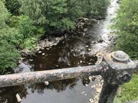 Queen Elizabeth forest park. Image from Queen Elizabeth forest park