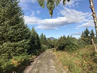 Loch Ard loop via Uamh Mhor.