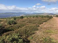 Hel N Back hill race. View down the Clyde towards Helensburgh