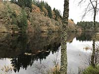 Aberfoyle to Loch Venachar. Very calm