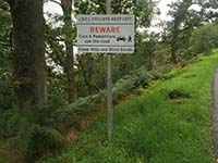 Loch Katrine marathon. Beware of those hills