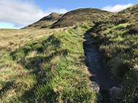 Ben Lomond. This hill seems to go up and up forever