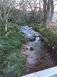Firmounth. View of the burn (stream)