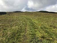 Glen Sherup loop. The path is faint and can get muddy