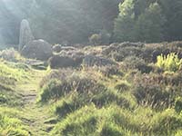 Pitfitchie loop. Stone circle