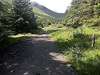 Glen Loin Loop. Marker on right, but path on the left