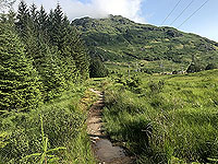 Glen Loin Loop. Still in Glen Loin