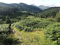 Glen Loin Loop. More back down the glen