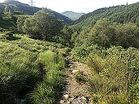 Glen Loin Loop. Back down the glen