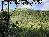 Glen Loin Loop. The green of Scotland