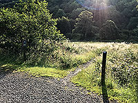 Glen Loin Loop. Small path across the field