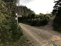 Bennachie. Junction between main path and trail