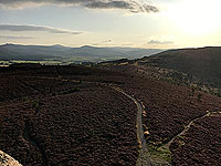 Scolty hill and more. View from the top of the tower towards Clachnaben