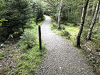 Scolty hill and more. Good quality paths