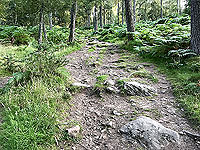 Scolty hill and more. Path becomes more of a trail on the up