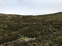 Glen Coe Marathon. Through the bogs, just before the climb