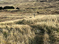 Killin - Lochan Breaclaich. Marker pole to aim for in the distance
