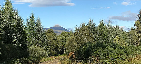 Longer loop in Queen Elizabeth forest