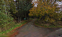 Durris Loop. This is the so easy to miss entrance to the Durris Forest car park
