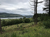 Meall Liath. Looking through the trees to the loch
