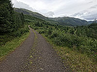 Meall Liath. Forest section