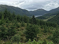 Meall Liath. Loch Lubnaig in the distance
