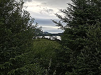 Kinlochard 5 lochs. Loch Ard through the trees