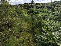 Kinlochard 5 lochs. Heading up hill