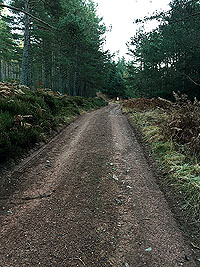 Aboyne games hill run. Just you and the flies