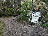 Plodda falls.