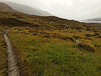 Glen Affric. Image from Glen Affric