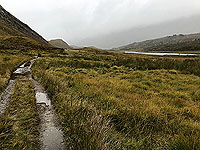Glen Affric. Image from Glen Affric