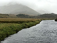 Glen Affric. View from the bridge