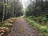 Glen Affric. Half way down Loch Beinn a Mheadhoin
