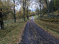 Craig Hill loop. Towards Aberfeldy