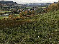 Craig Hill loop. Looking down on Aberfeldy