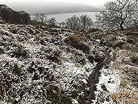 Rowerdennan to Loch Arklet. Gets a wee bit muddy at times
