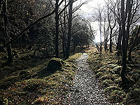 Rowerdennan to Loch Arklet. On the low path