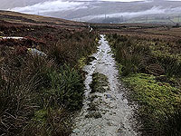 Run Ben Bouie loop. : Looking back at Glen Fuin