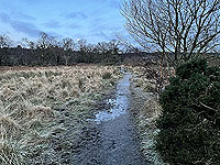 Run Ben Bouie loop. : Can get a little muddy