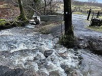 Run Ben Bouie loop. : Crossing the wee burn