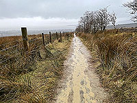 Run Ben Bouie loop. : A rather wet descent