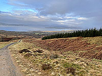 Run Ben Bouie loop : Higher up the hill