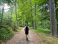 Gallus Running  : Trails in the wood near the start