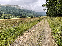 Gallus Running | Loch Eck : 584_sm_006.jpg