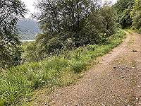 Gallus Running | Loch Eck : 584_sm_007.jpg
